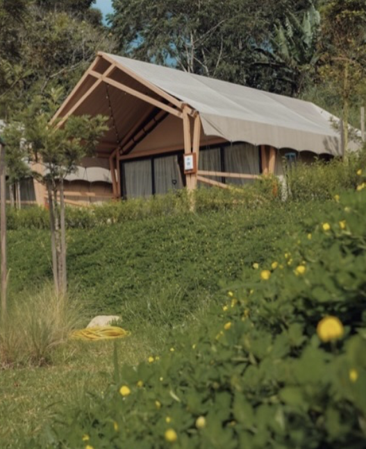 Screenshot 2026-02-04 at 9.27.54 PM